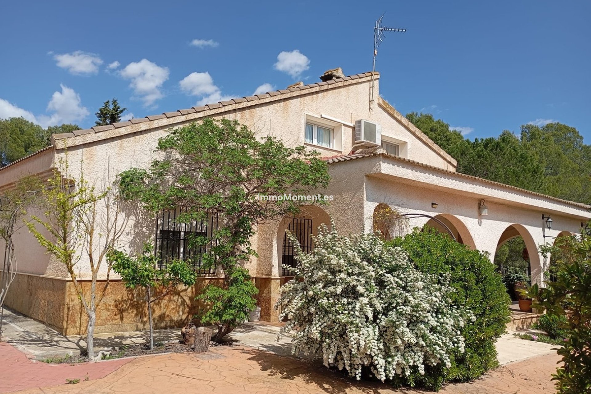 Revente - Villa individuelle - Yecla - Yecla Centro