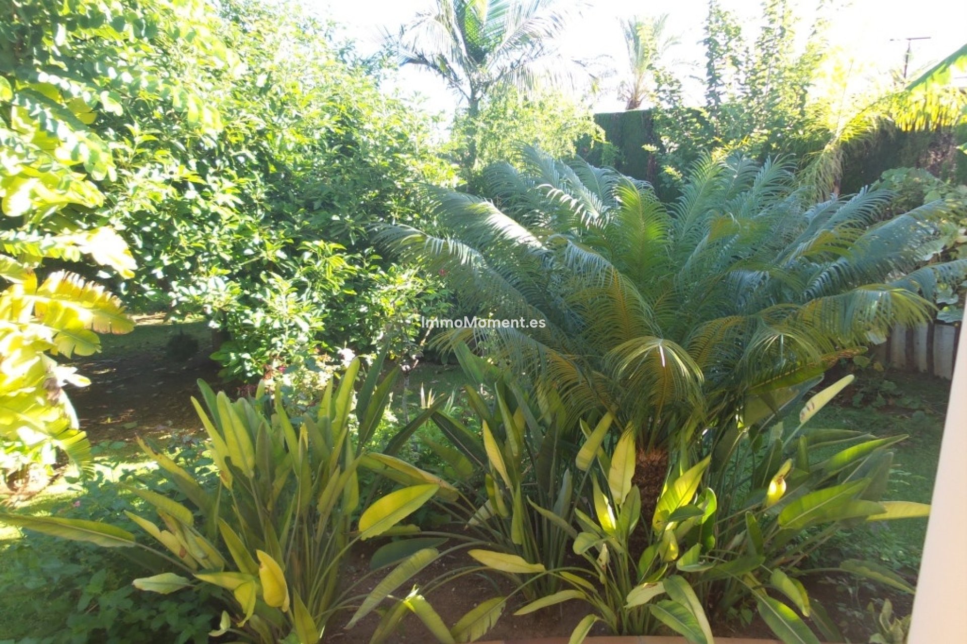 Revente - Villa - Intérieur                       - Alhaurín de la Torre