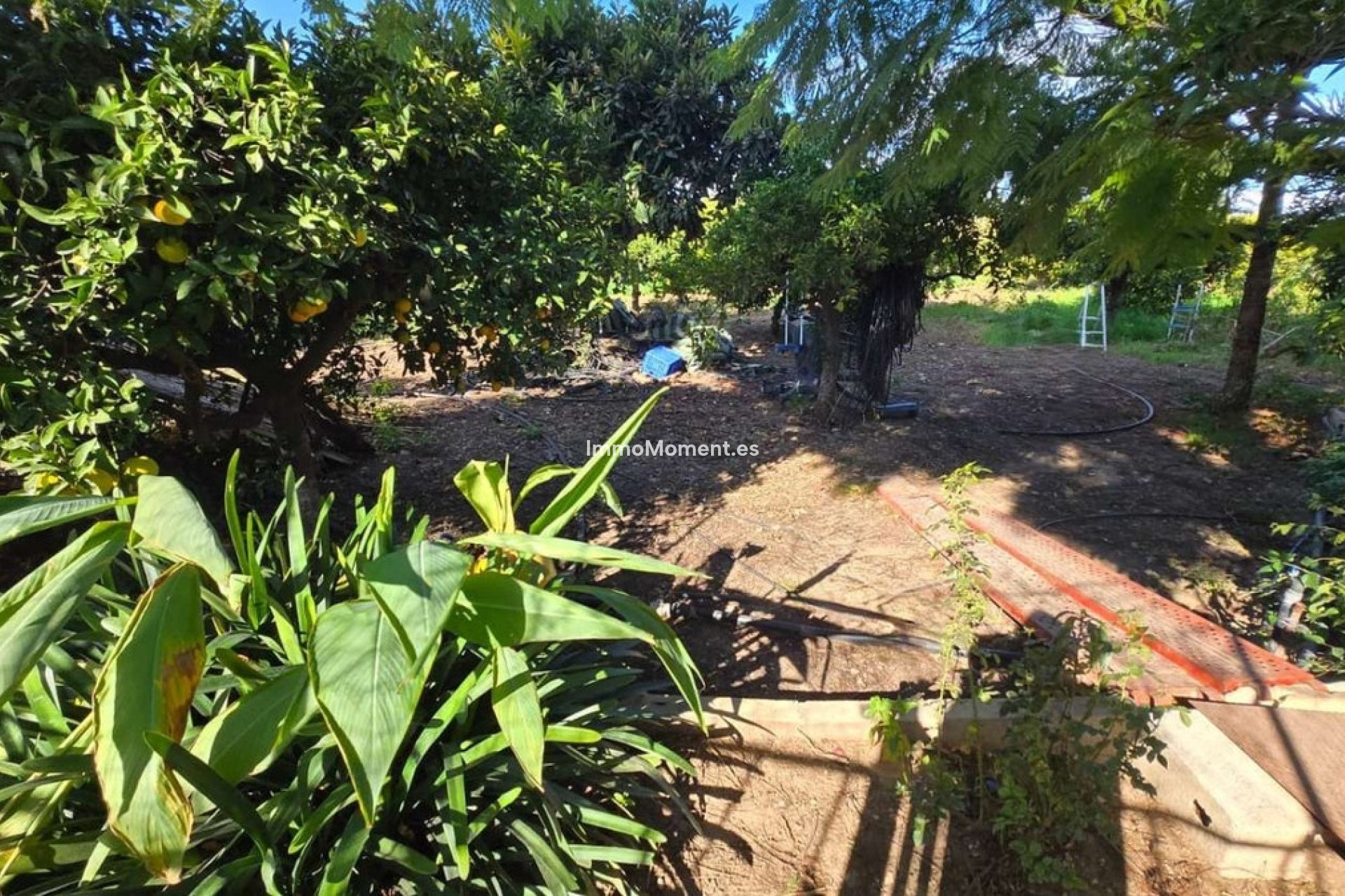 Revente - Villa - Intérieur                       - Alhaurín de la Torre