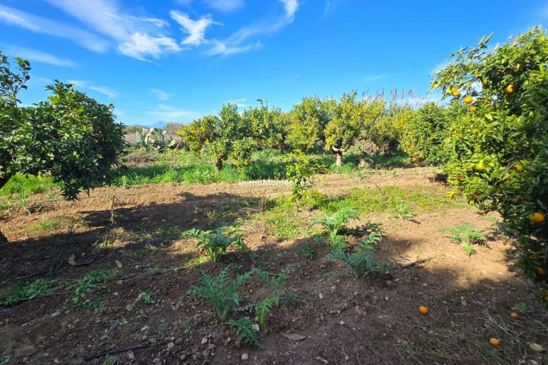 Revente - Villa - Intérieur                       - Alhaurín de la Torre