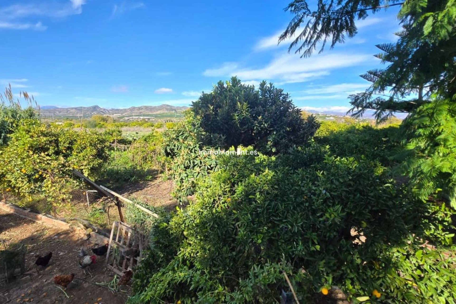 Revente - Villa - Intérieur                       - Alhaurín de la Torre