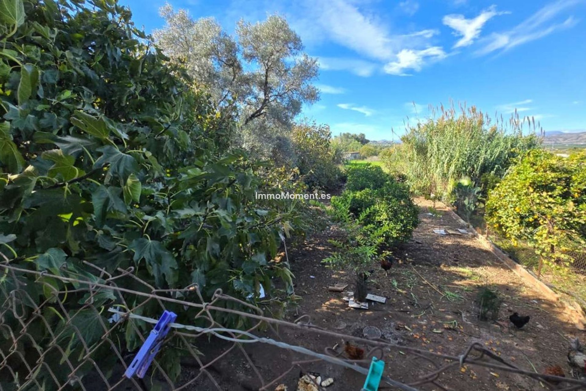 Revente - Villa - Intérieur                       - Alhaurín de la Torre