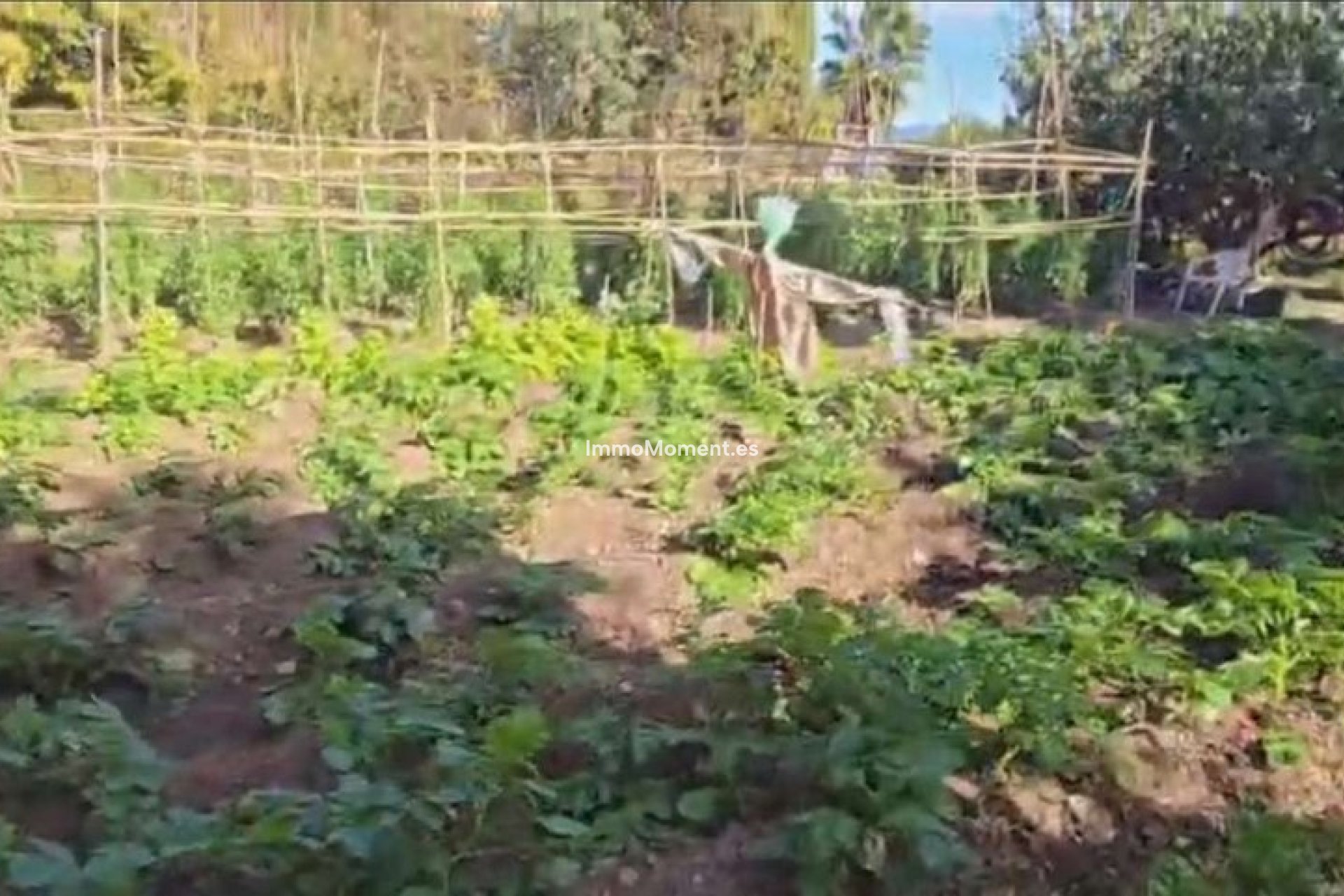 Revente - Villa - Intérieur                       - Alhaurín de la Torre