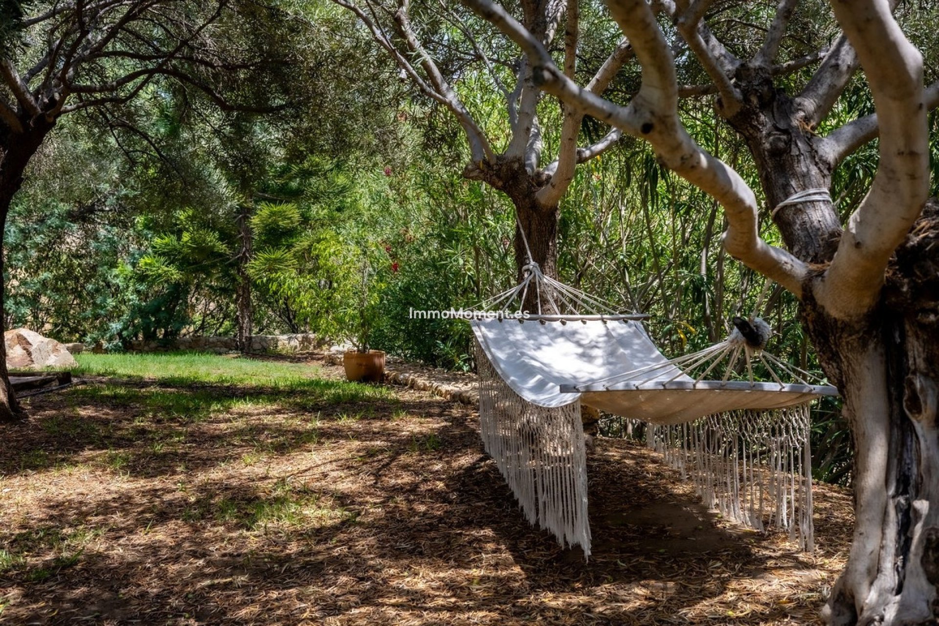 Revente - Villa - Intérieur                       - Alhaurín el Grande Centro