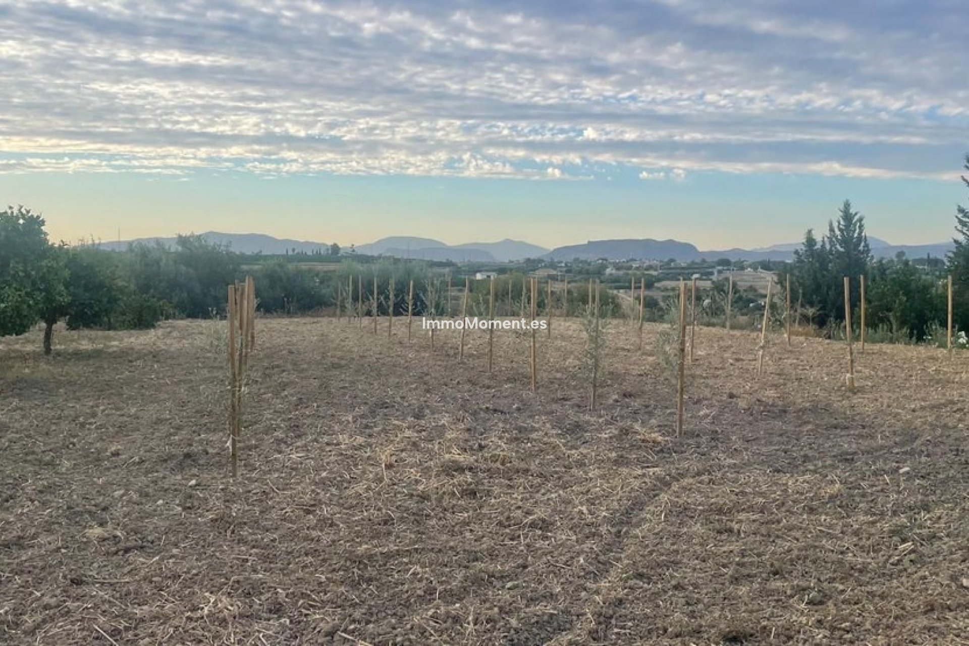 Revente - Villa - Intérieur                       - Alhaurín el Grande Centro