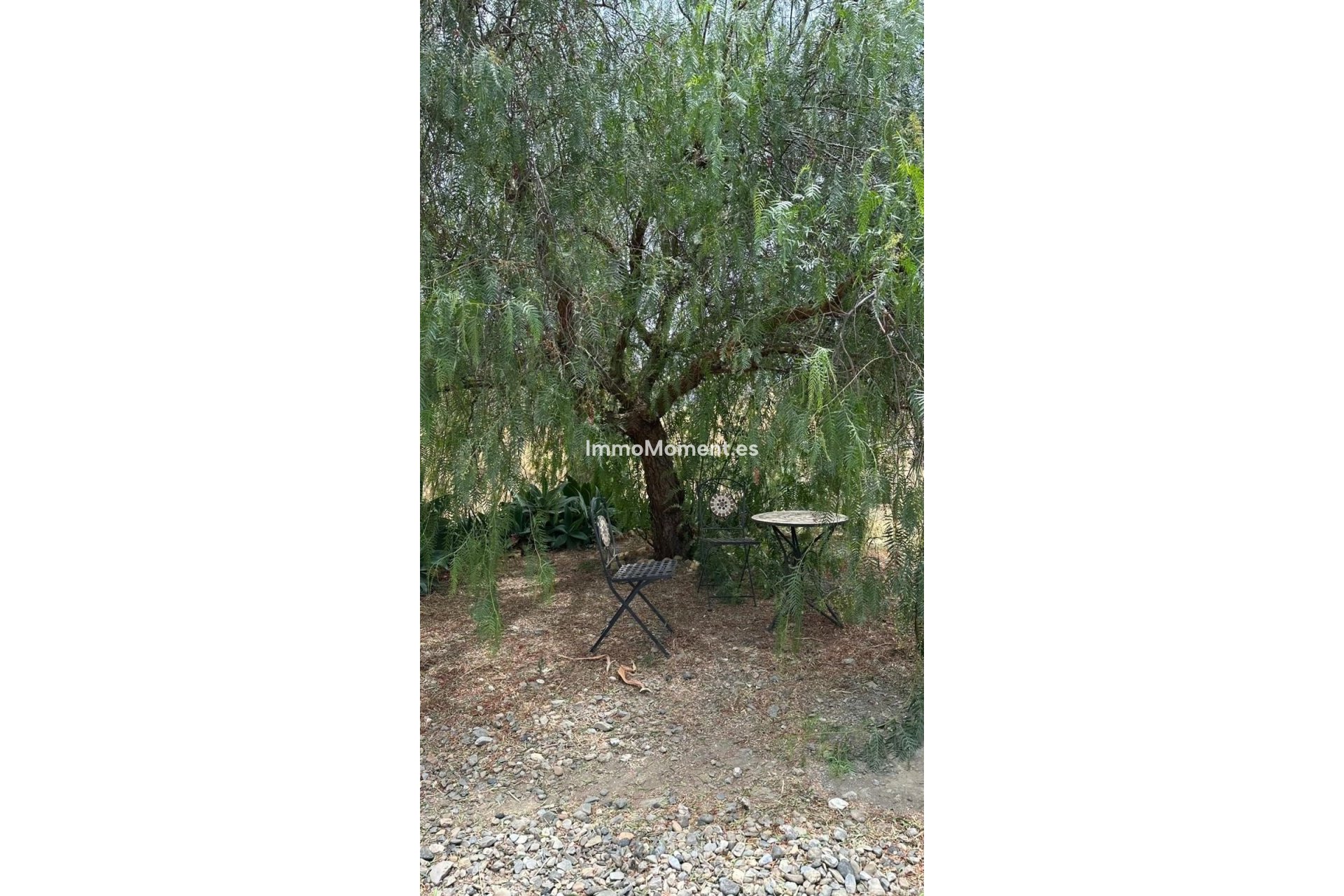 Revente - Villa - Intérieur                       - Alora