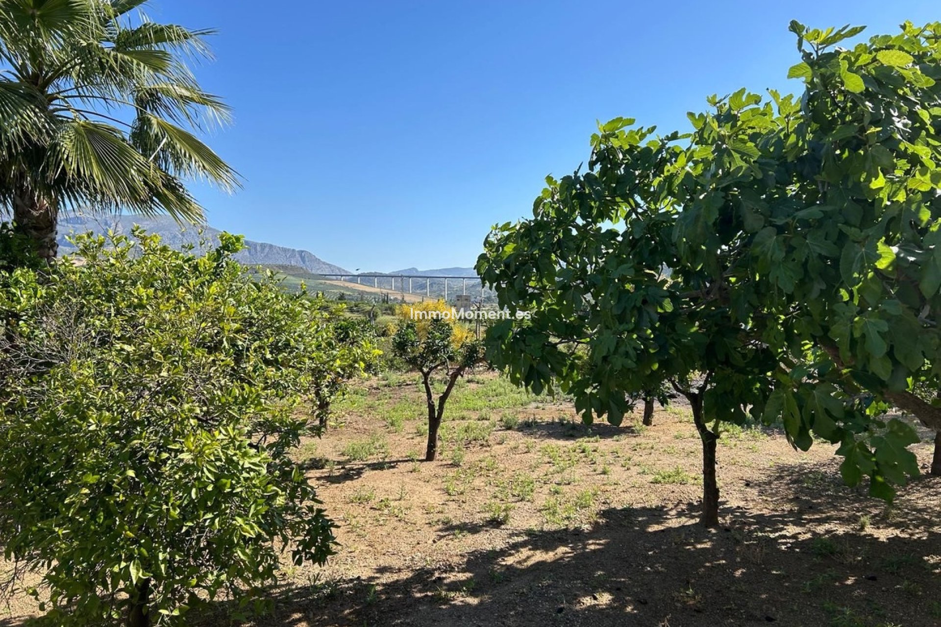 Revente - Villa - Intérieur                       - Alora