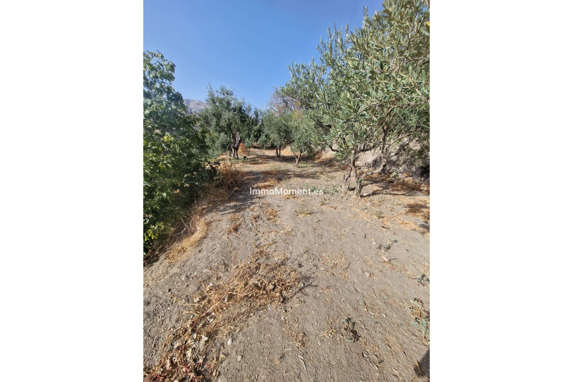 Revente - Villa - Intérieur                       - Alora