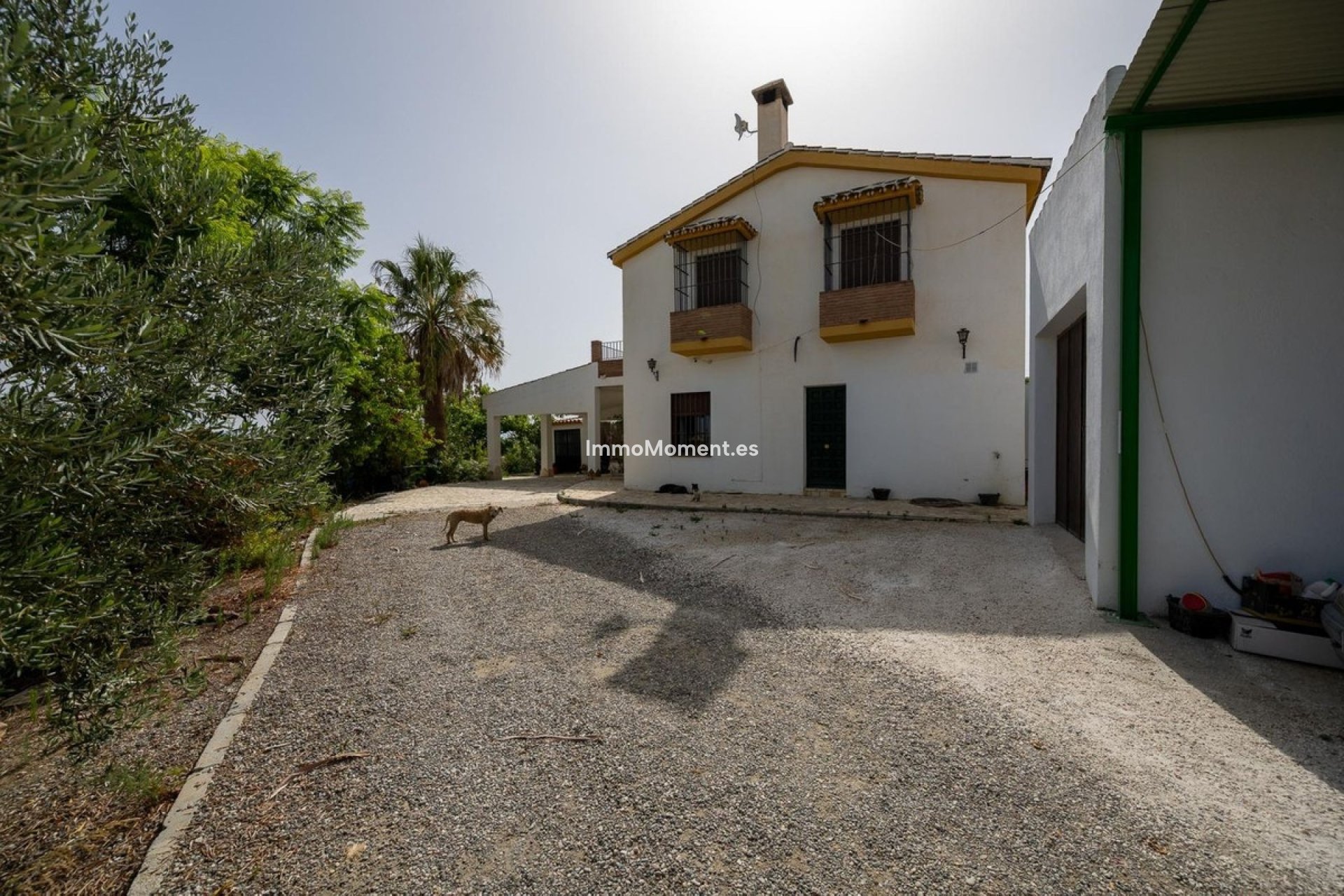 Revente - Villa - Intérieur                       - Cártama Centro