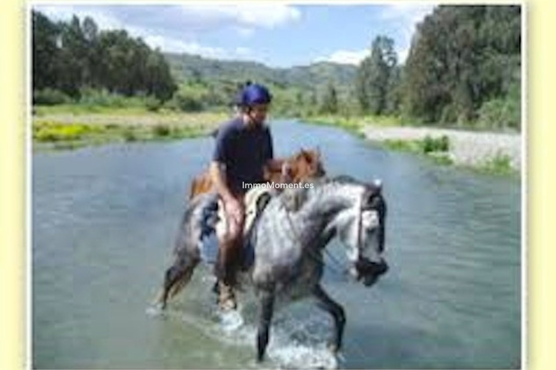 Revente - Villa - Intérieur                       - Coín