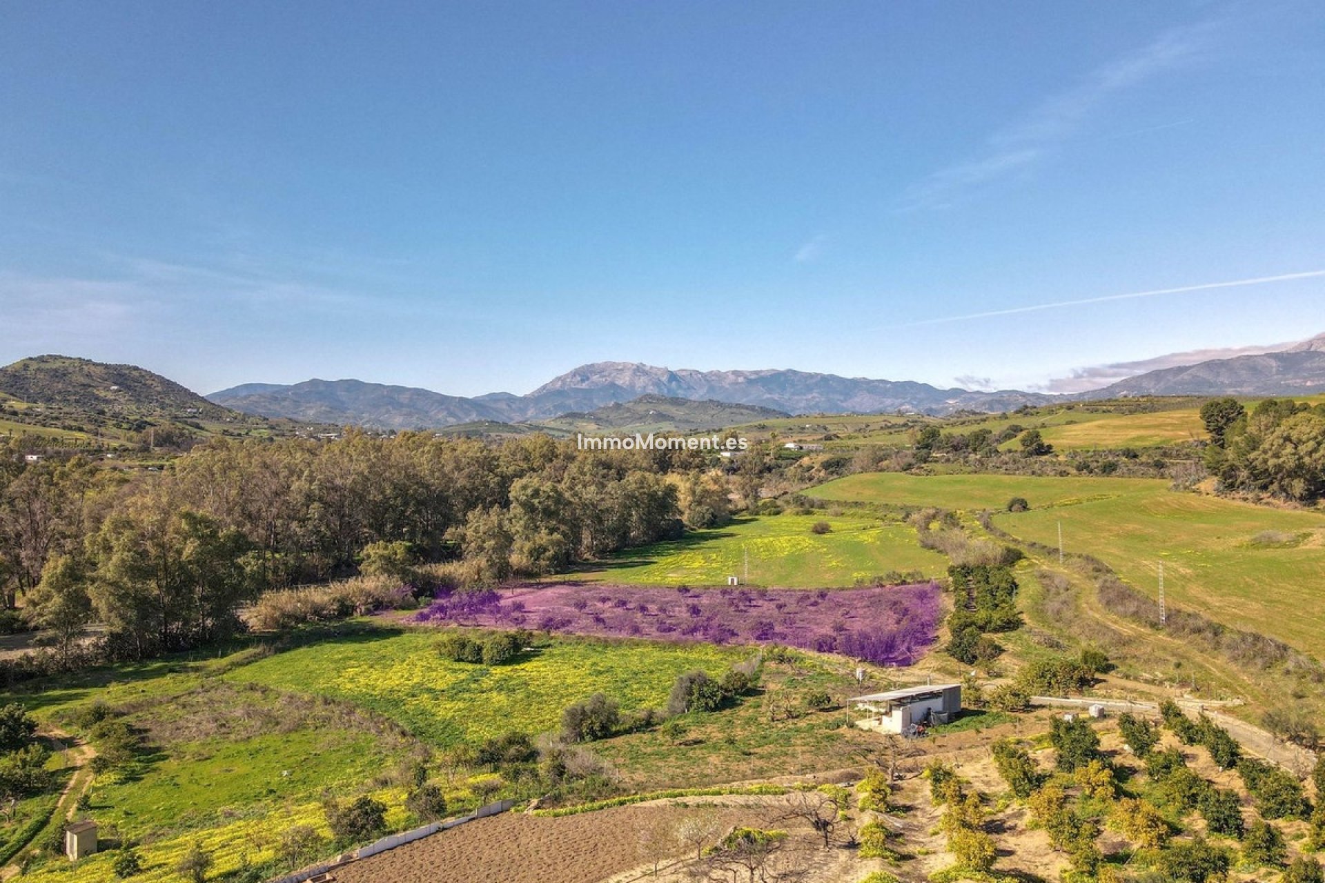 Revente - Villa - Intérieur                       - Coín