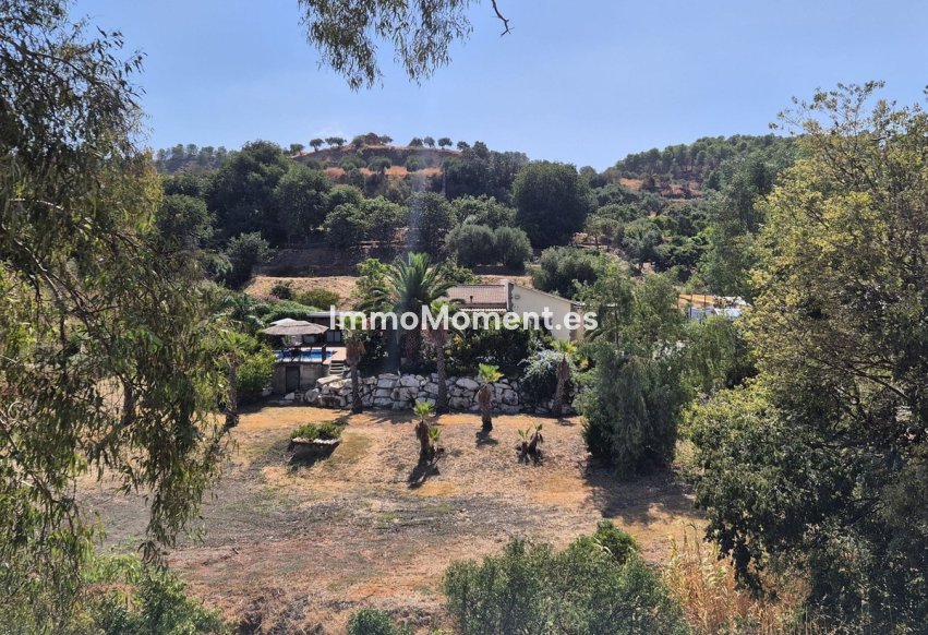 Revente - Villa - Intérieur                       - Coín