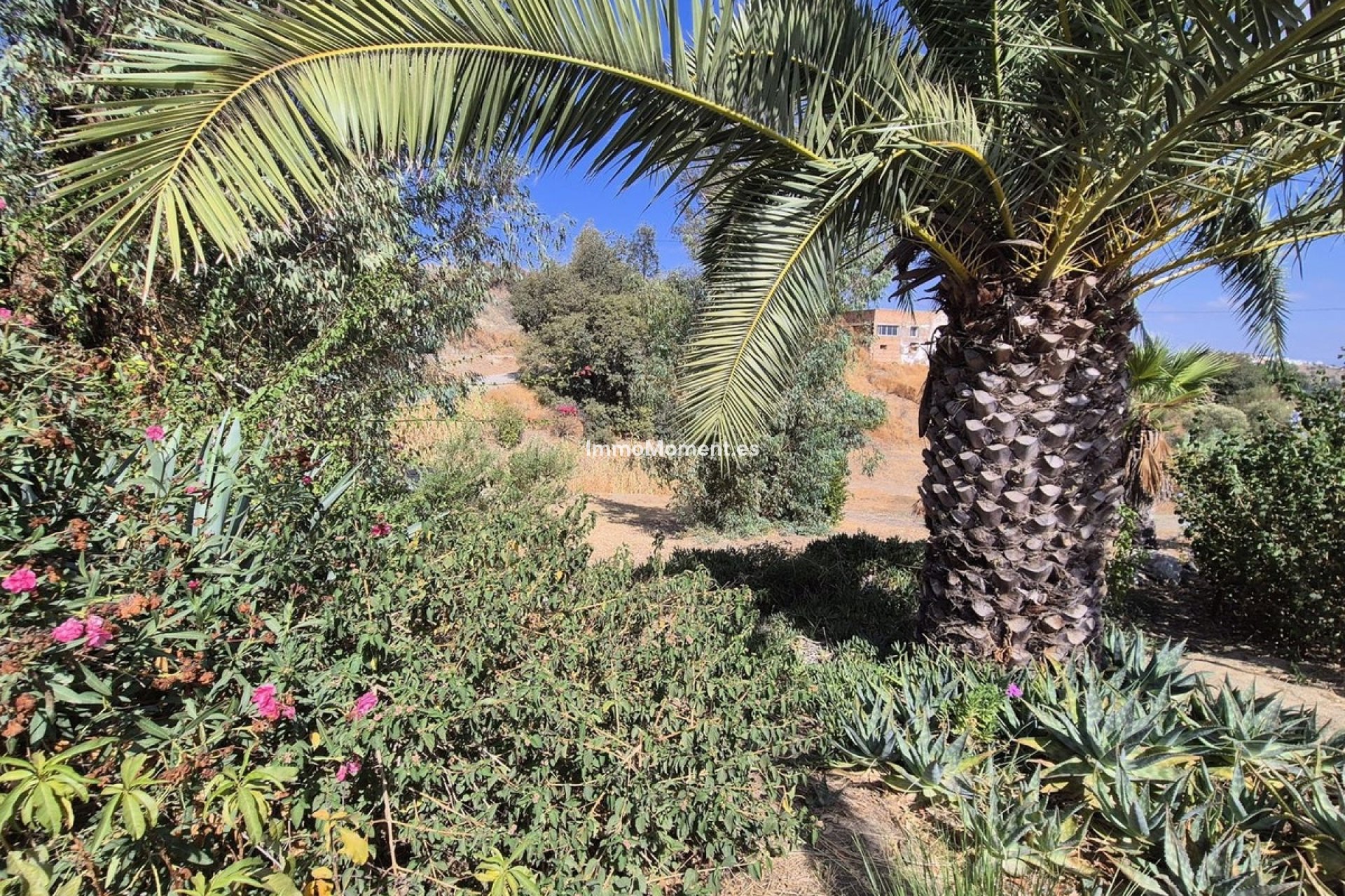 Revente - Villa - Intérieur                       - Coín