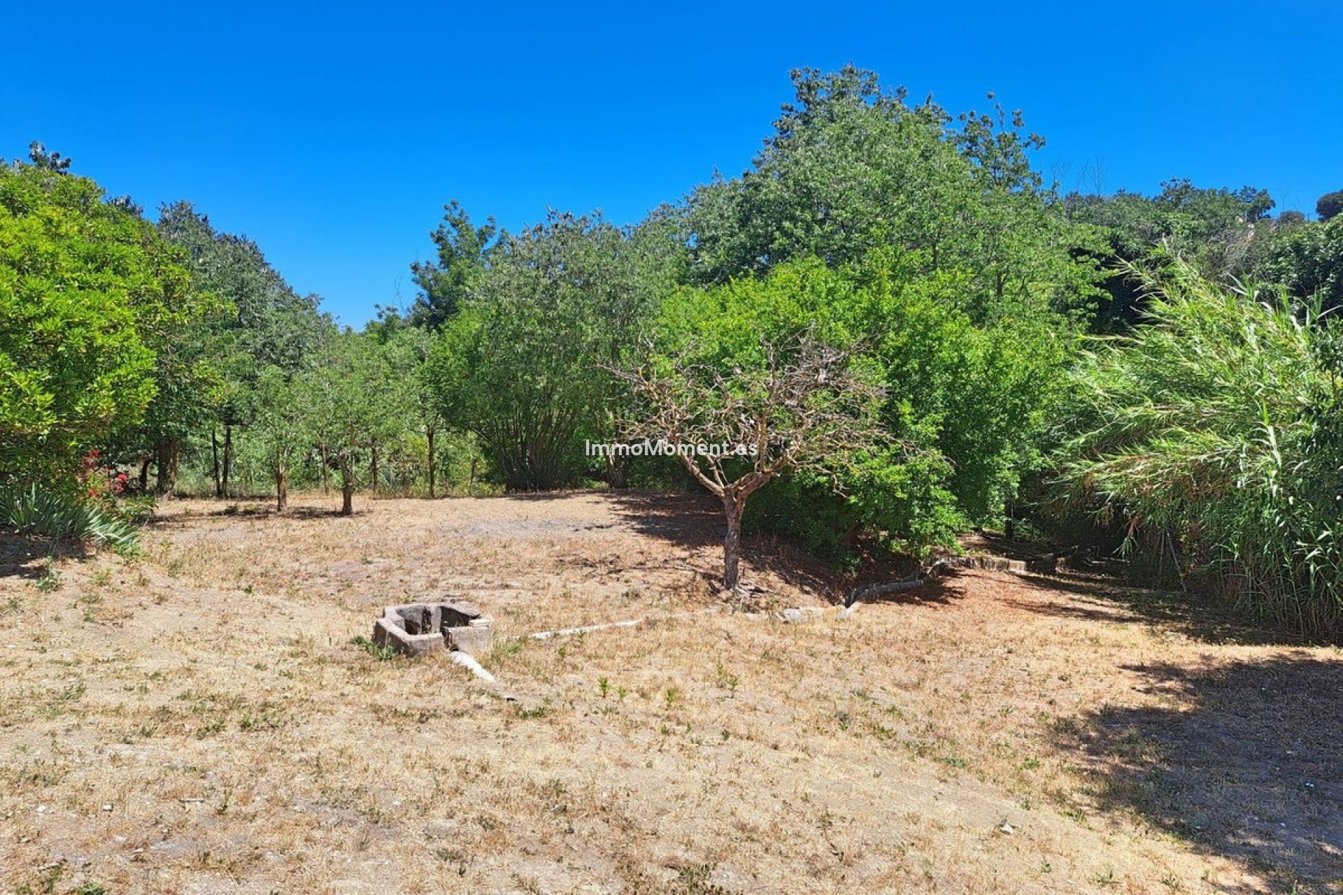 Revente - Villa - Intérieur                       - Coín