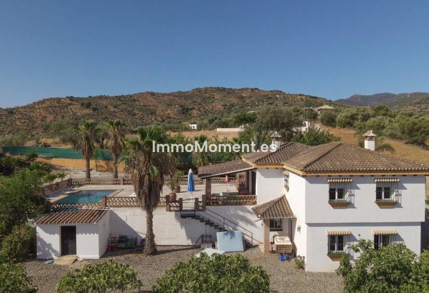 Revente - Villa - Intérieur                       - Guaro