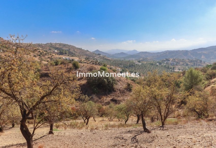 Revente - Villa - Intérieur                       - Guaro