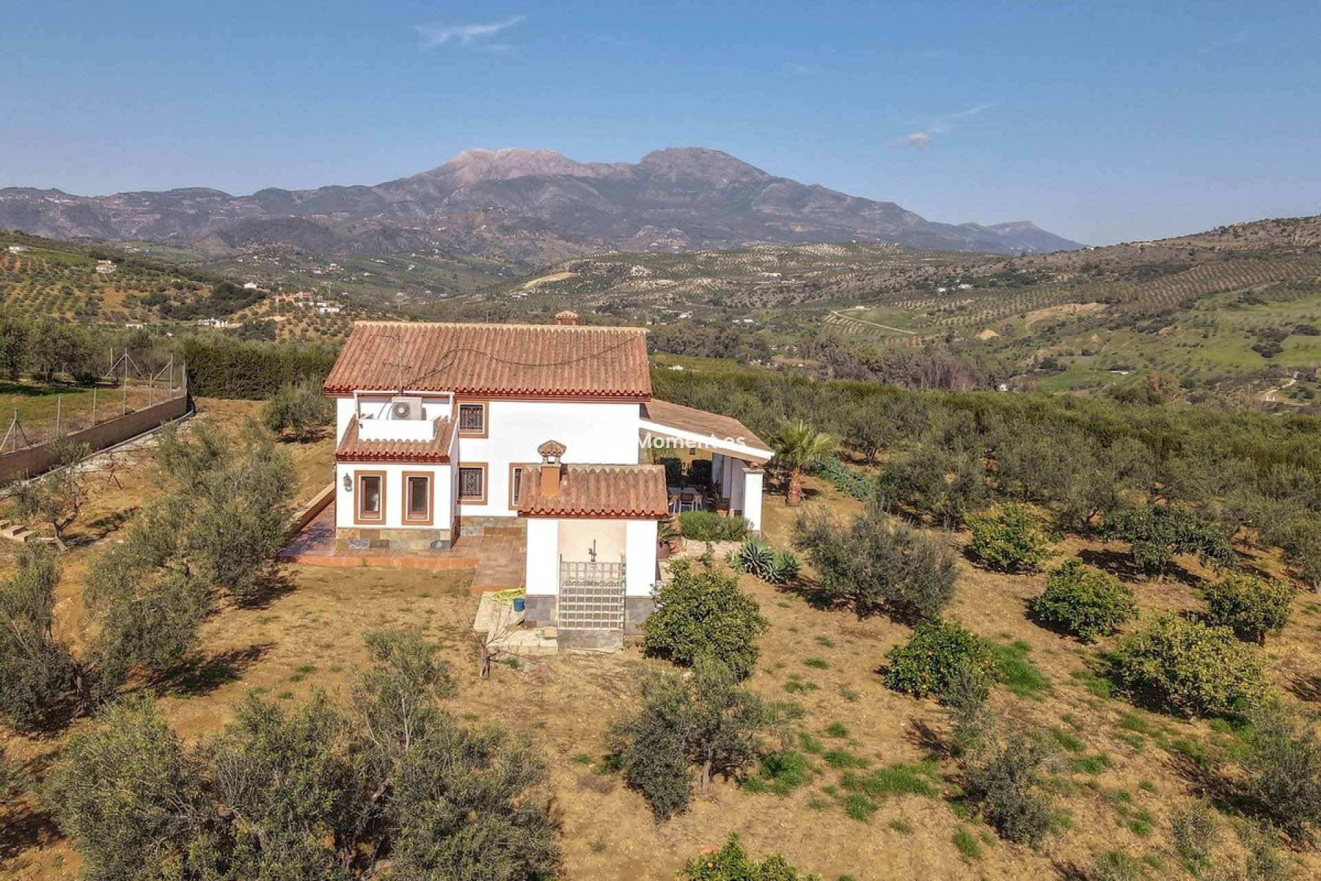 Revente - Villa - Intérieur                       - Guaro