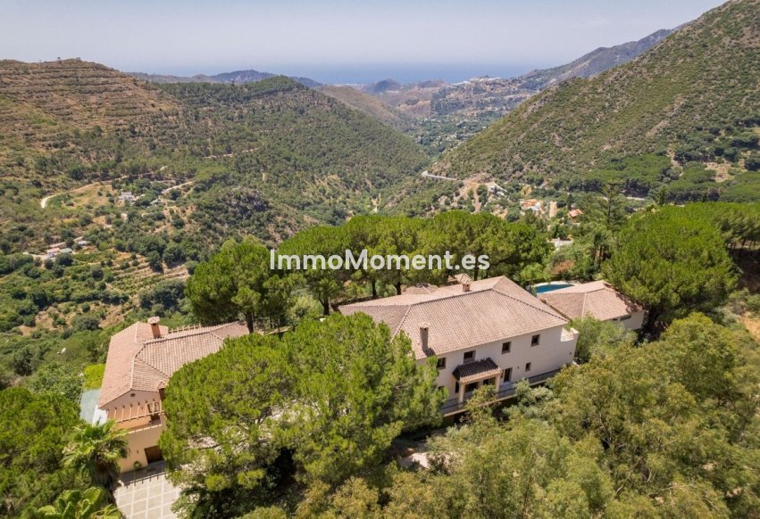 Revente - Villa - Intérieur                       - Ojén