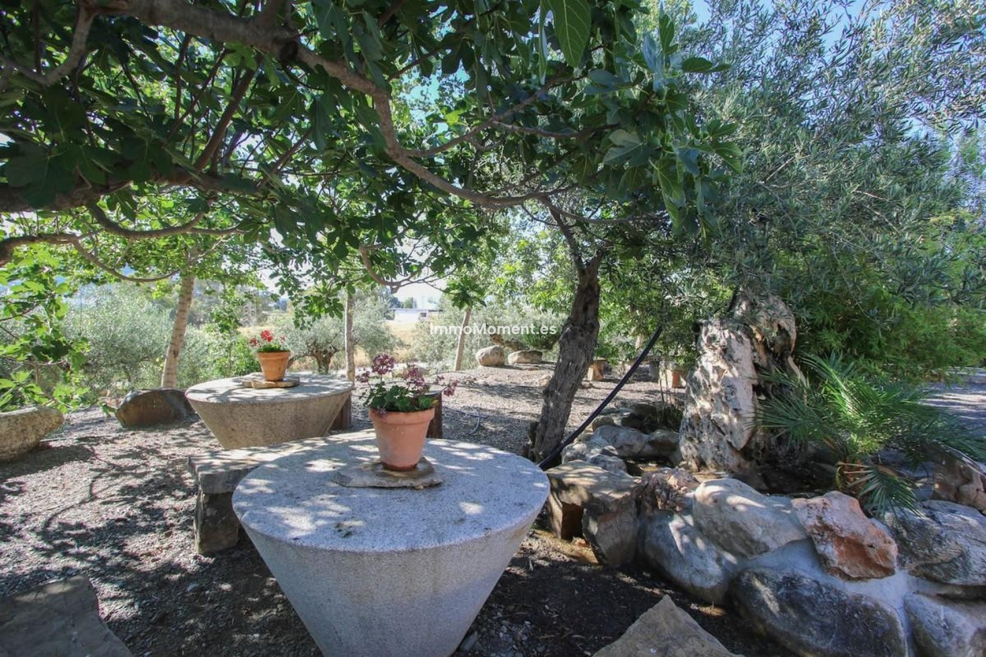 Revente - Villa - Intérieur                       - Pizarra