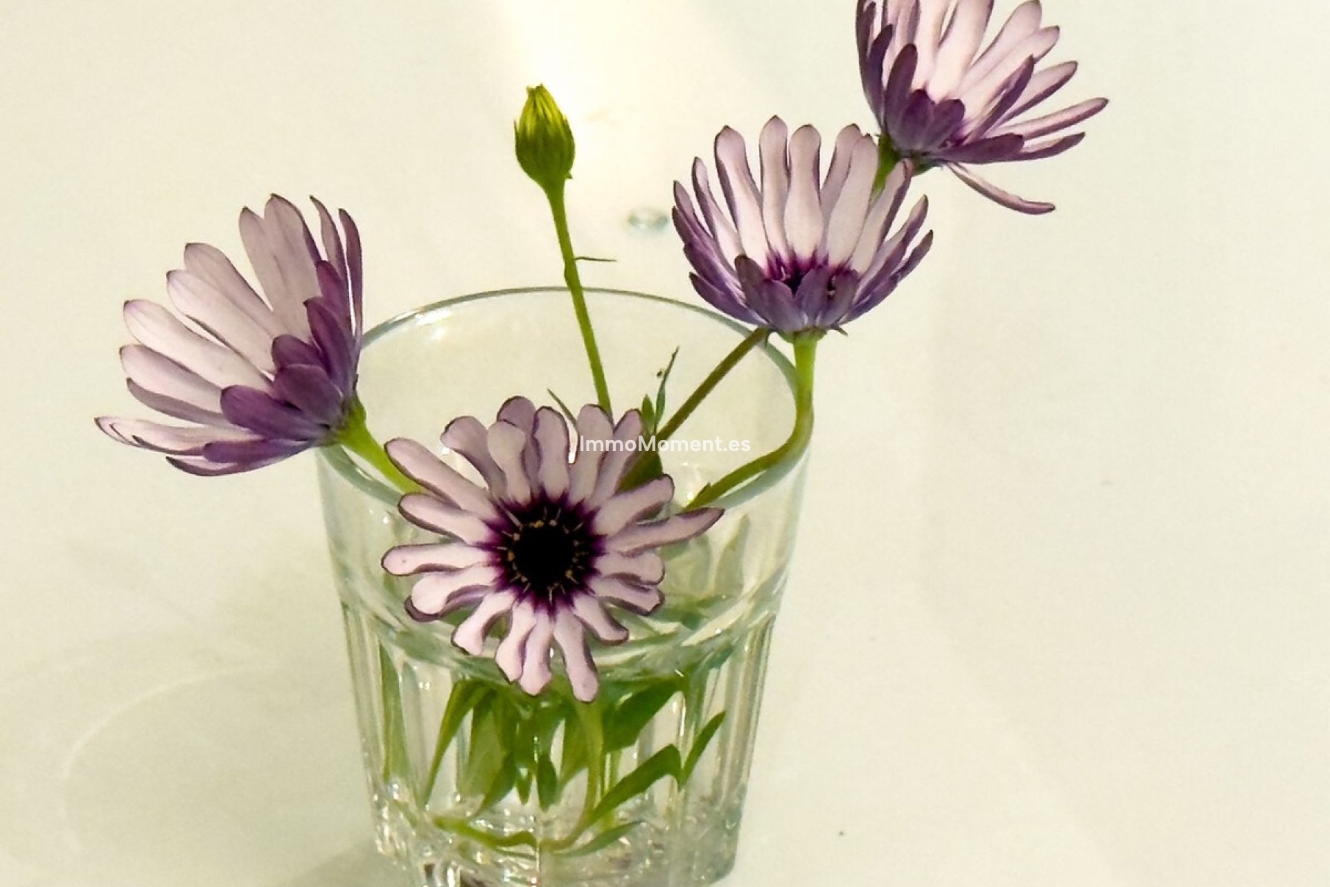 Revente - Villa - Marbella - El Rosario