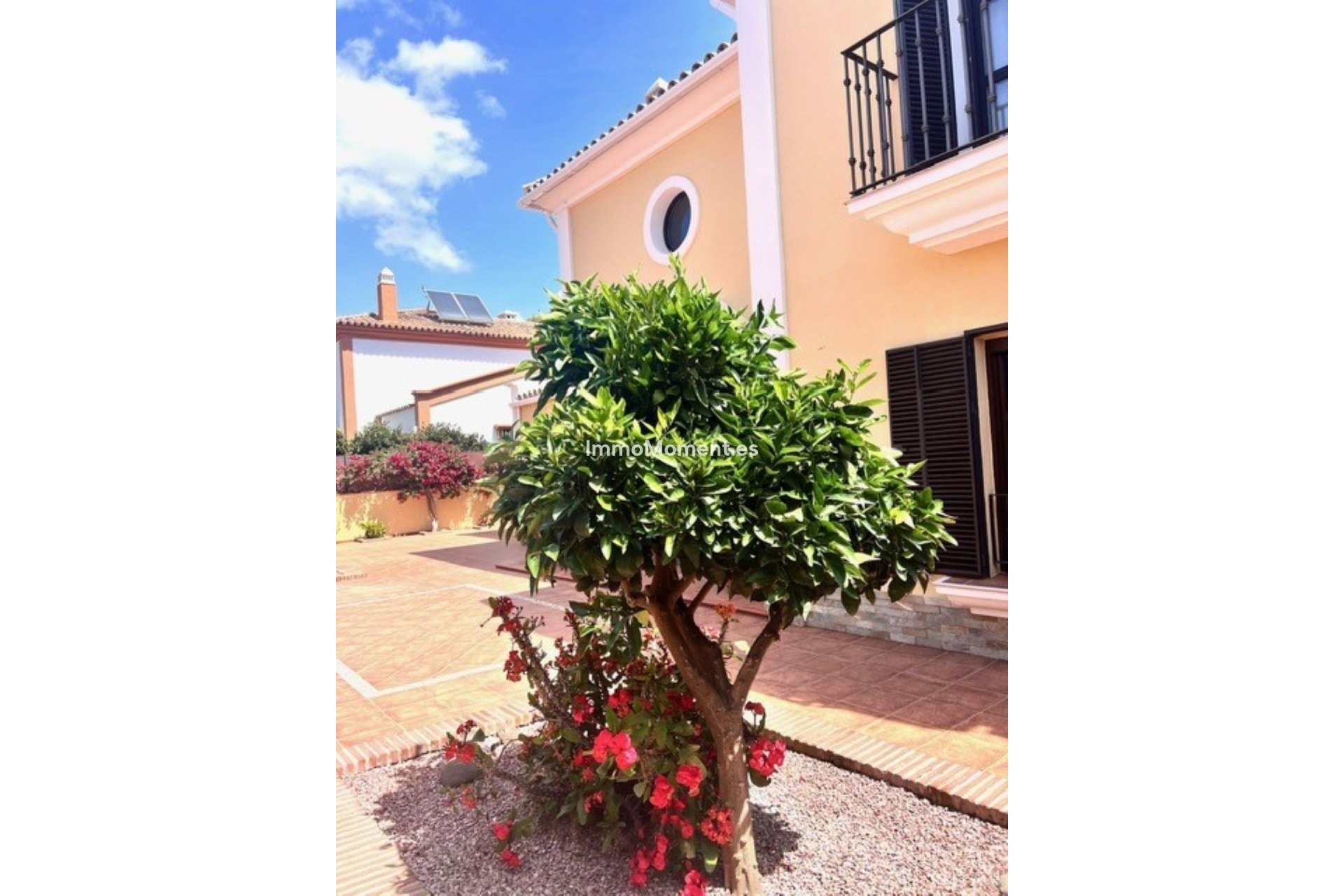 Revente - Villa - Marbella - Guadalmina Alta