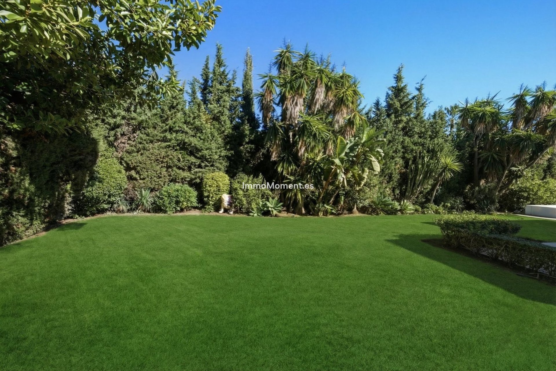 Revente - Villa - Marbella - Guadalmina Baja