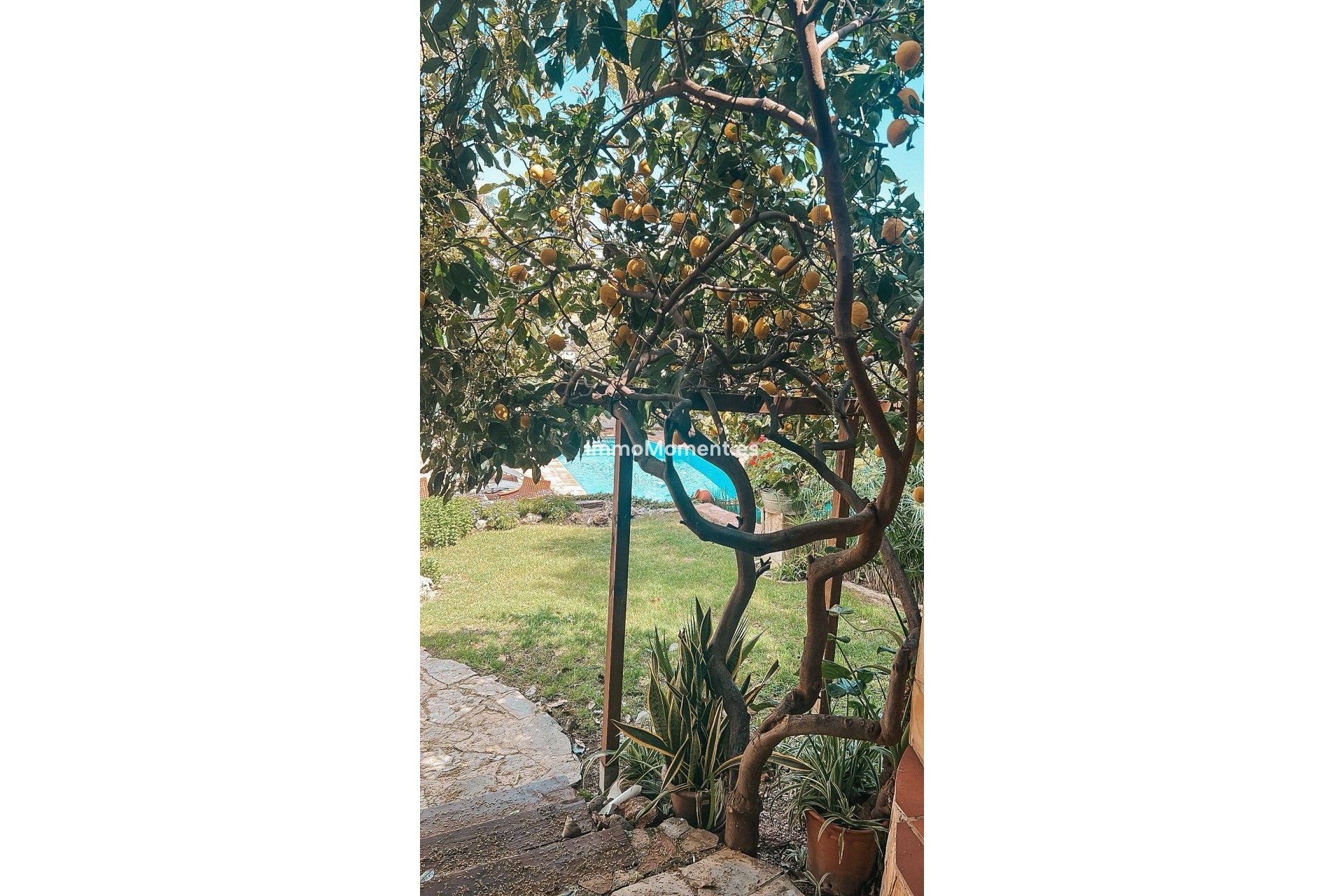 Revente - Villa - Marbella - Nueva Andalucía