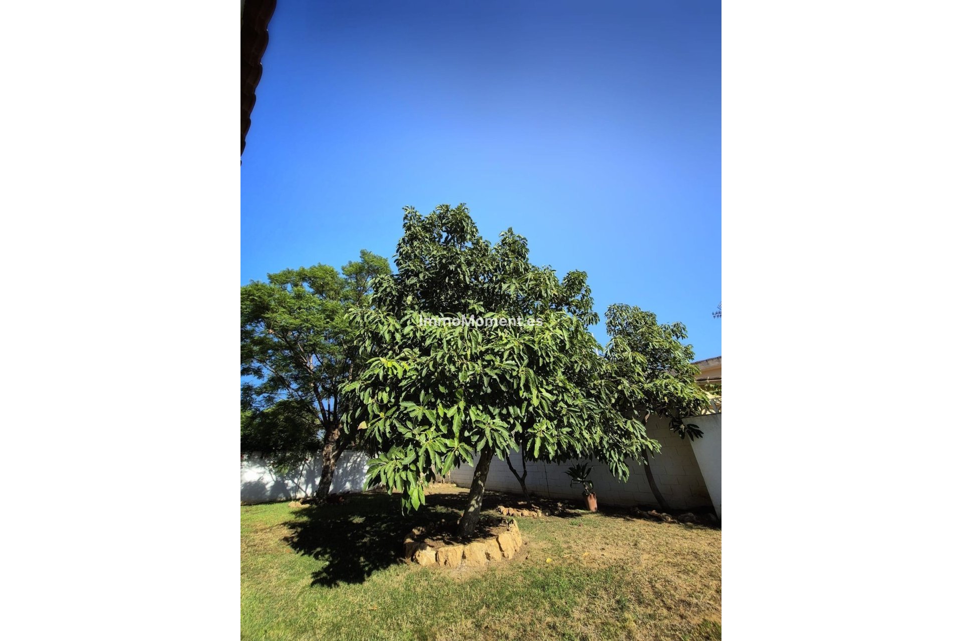 Revente - Villa - Marbella - San Pedro de Alcántara