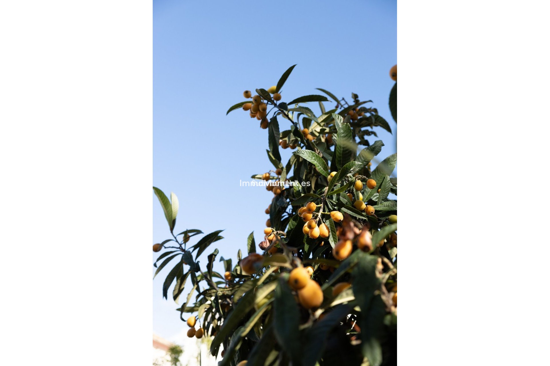 Revente - Villa - Marbella - San Pedro de Alcántara