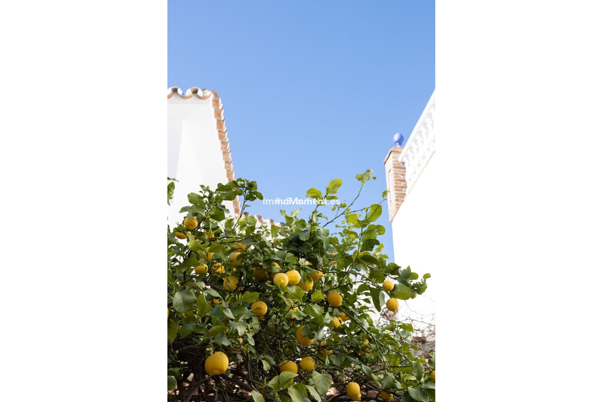 Revente - Villa - Mijas - Mijas Centro