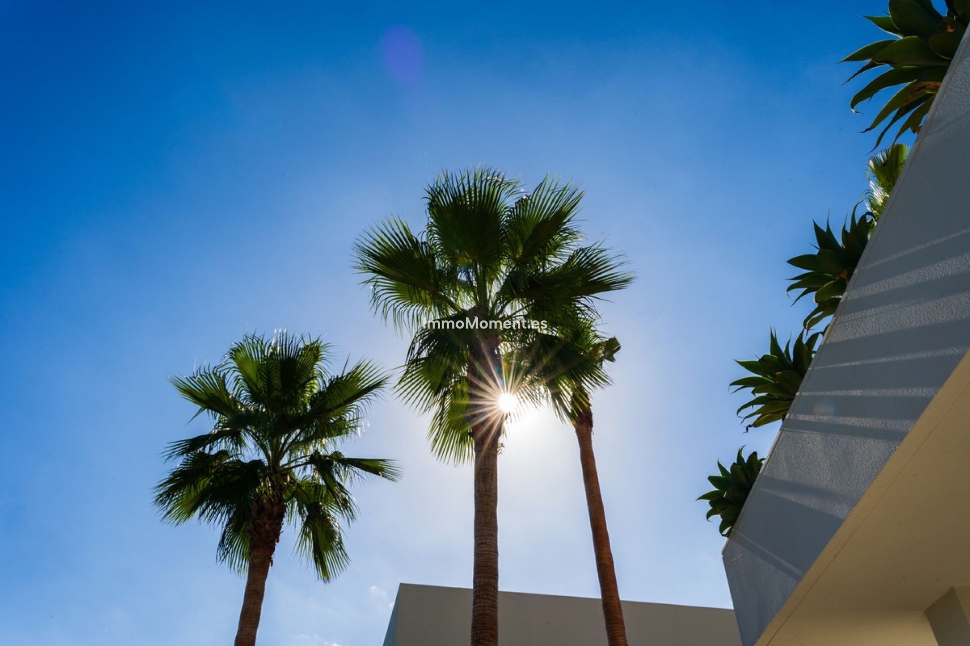 Revente - Villa - Orihuela - Las Colinas Golf