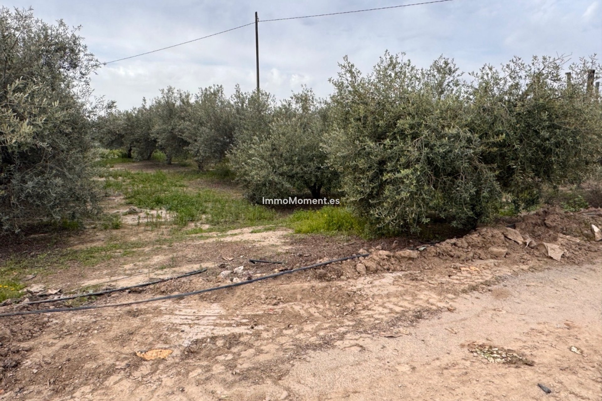 Revente - Villa - Puerto Lumbreras - Esparragal de Puerto Lumbreras