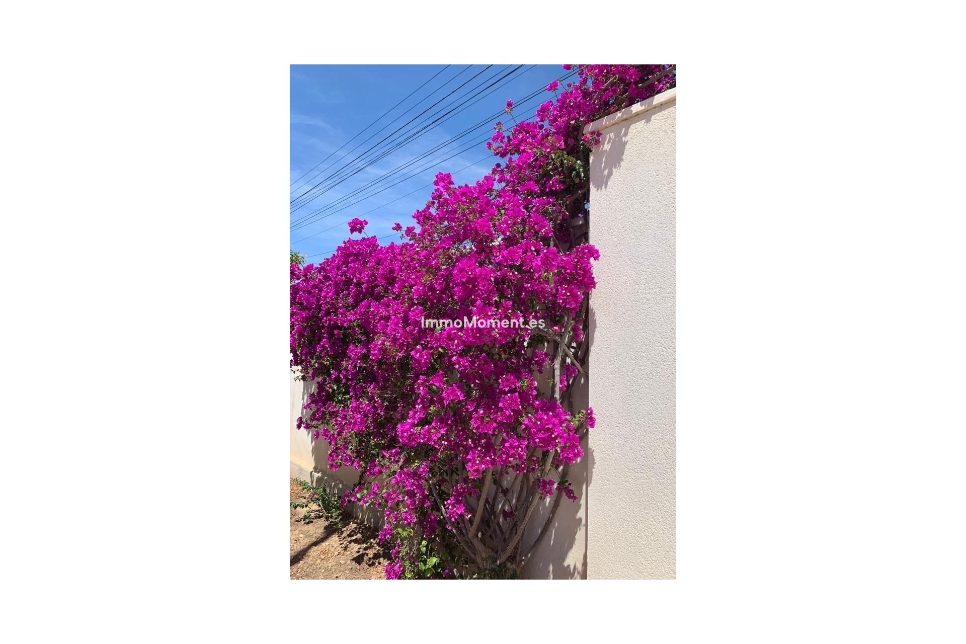 Revente - Villa - Rojales - Ciudad Quesada