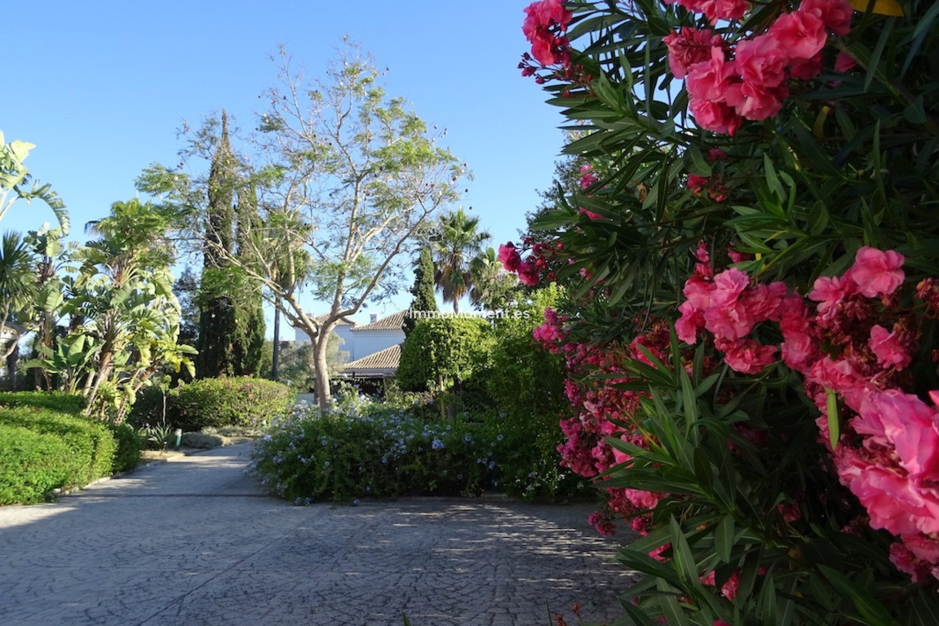 Revente - Villa - Sotogrande - Sotogrande Alto