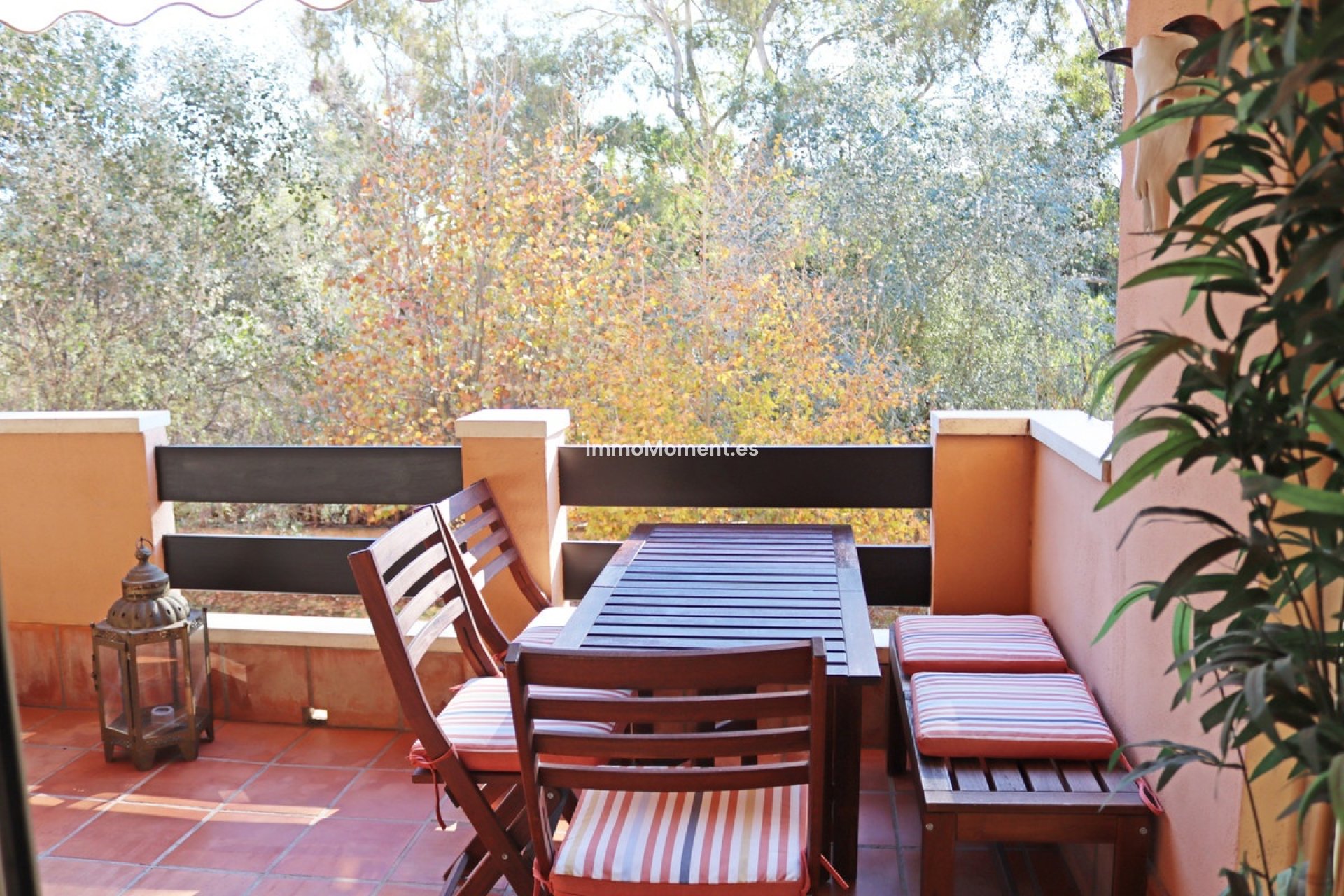 Short Term Rentals - Apartment - Marbella - Carib Playa