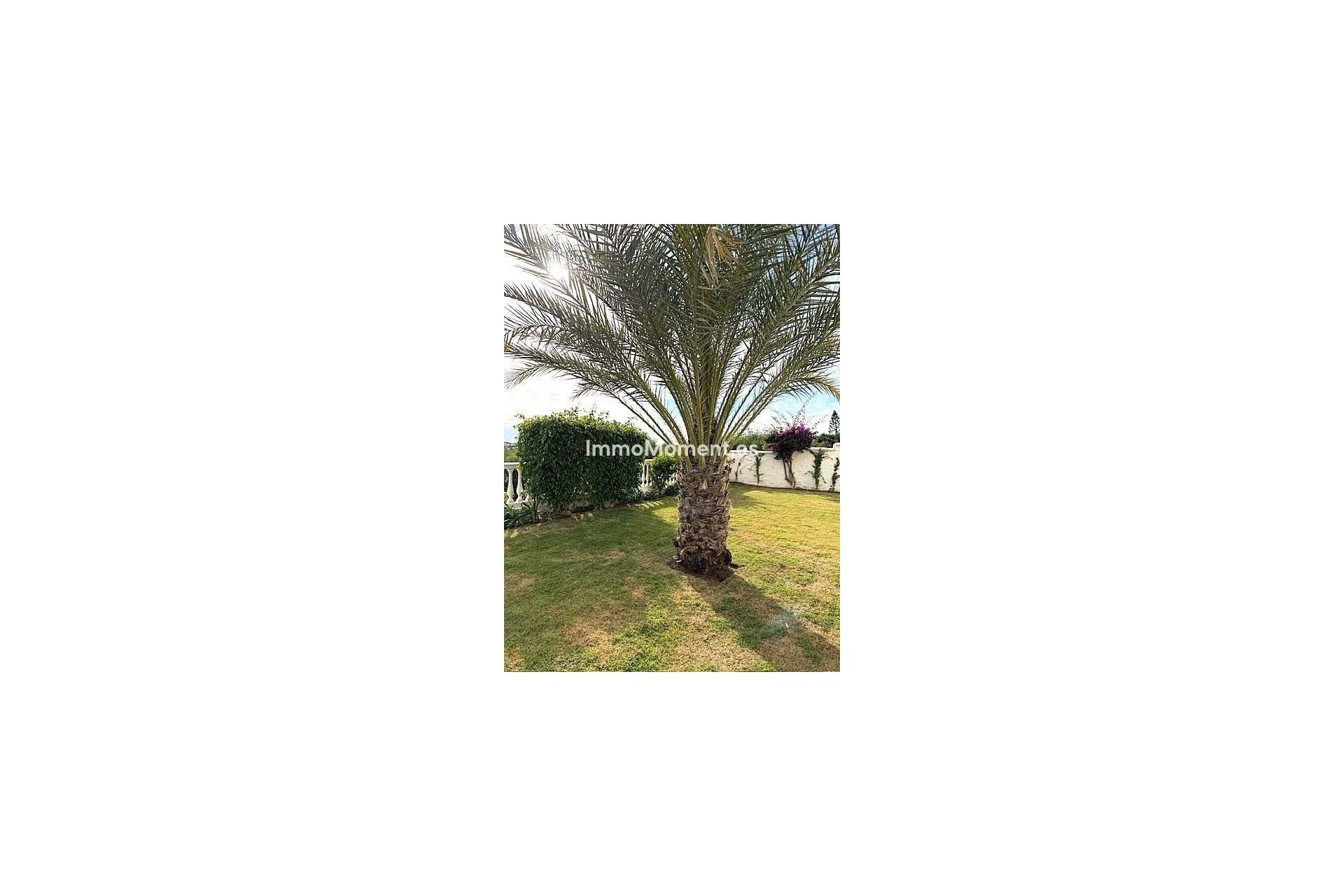 Short Term Rentals - Detached villa - Estepona - El Padron