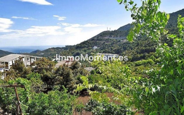 Terrain - Revente - Intérieur                       - Ojén