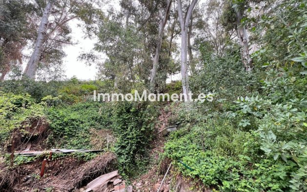 Terrain - Revente - Málaga - Málaga