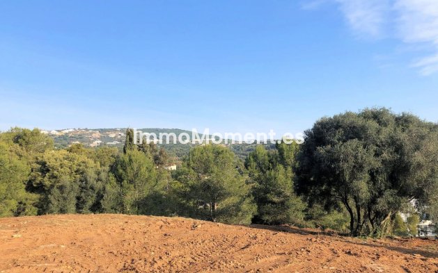 Terrain - Revente - Sotogrande - Sotogrande Alto