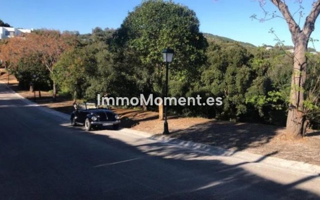 Terrain - Revente - Sotogrande - Sotogrande Alto