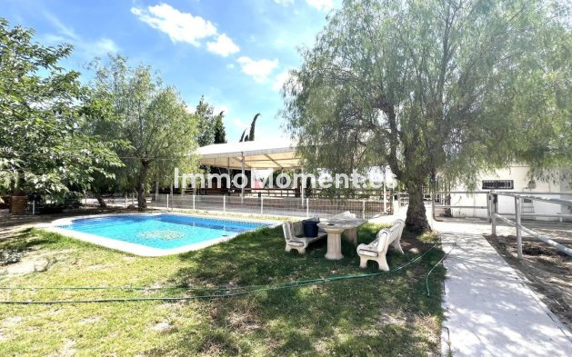 Townhouse - Resale - Orihuela - Orihuela Centro
