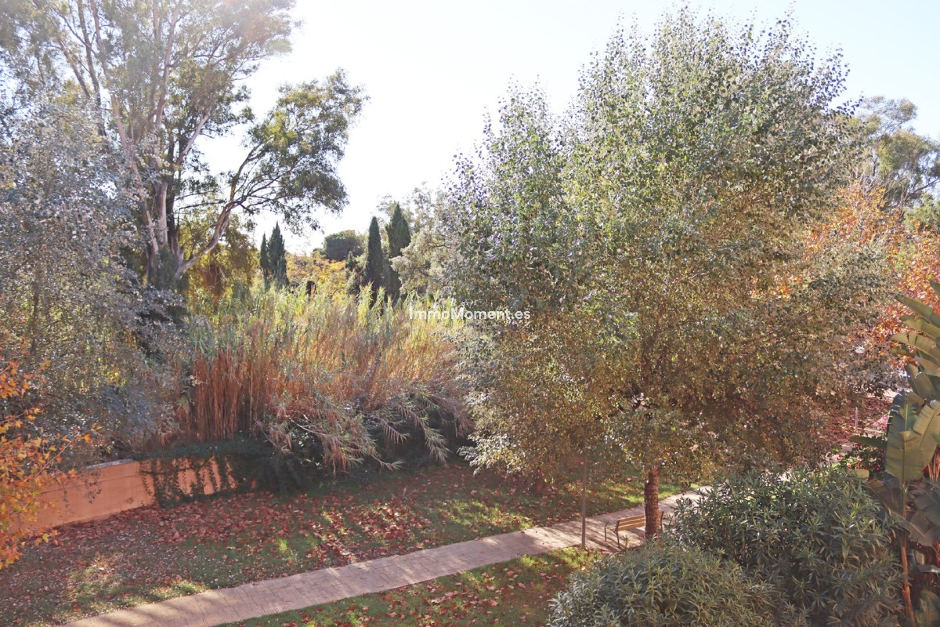 Vakantie verhuur - Appartement - Marbella - Carib Playa