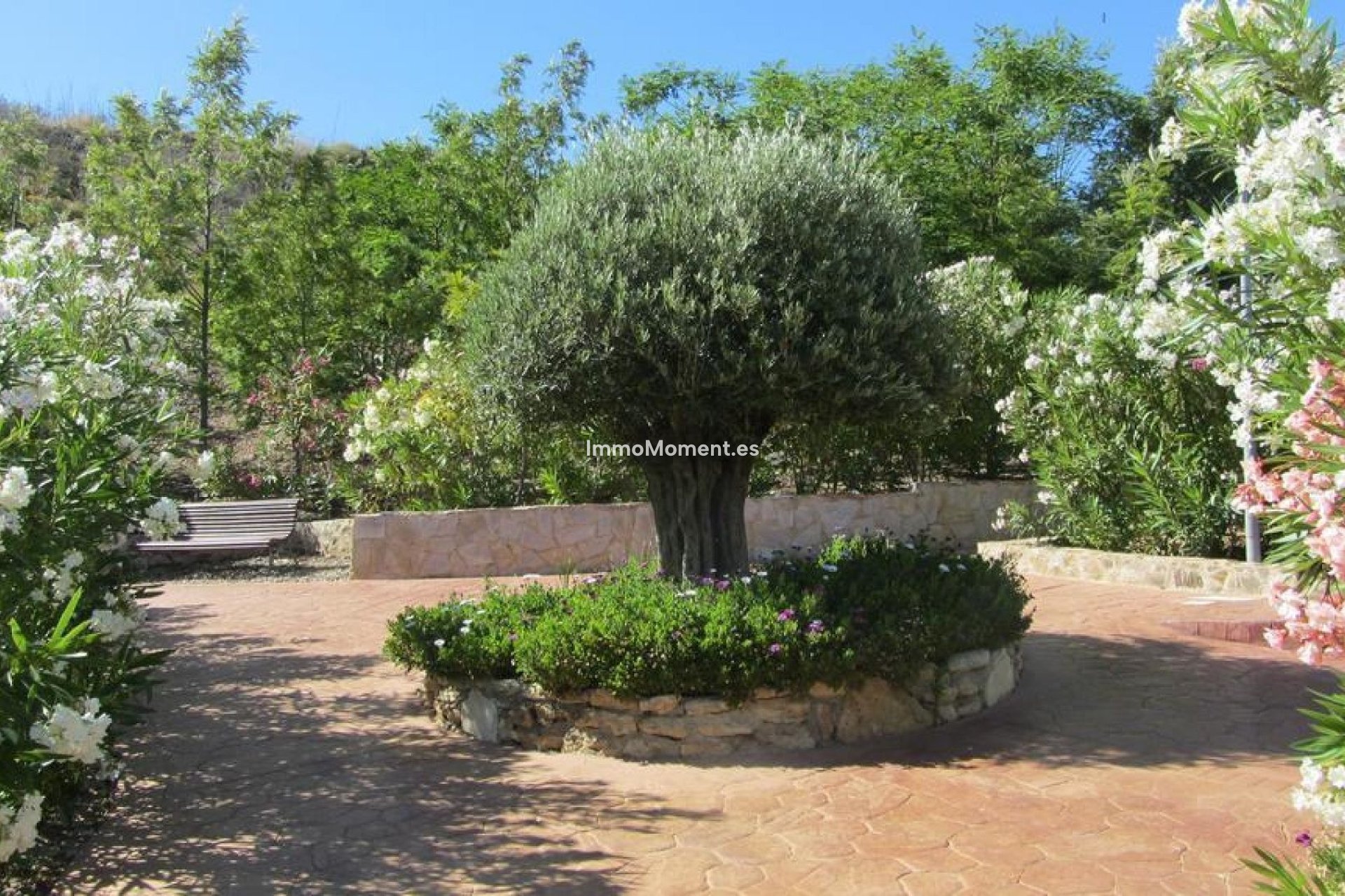 Vakantie verhuur - Appartement - Mijas Costa - La Cala de Mijas