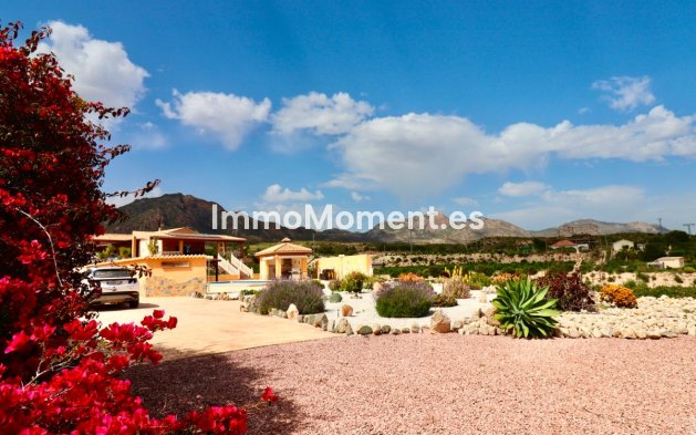 Villa independiente - Reventa - Albatera - Albatera Centro