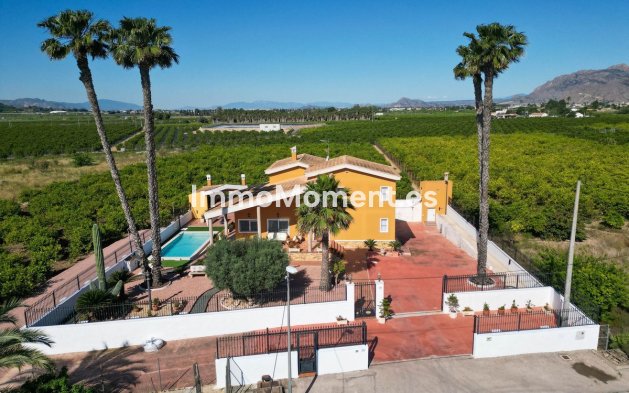 Villa independiente - Reventa - Orihuela - Orihuela Centro