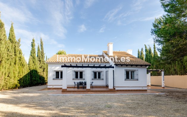 Villa individuelle - Construction neuve - Fuente Alamo - Fuente Alamo