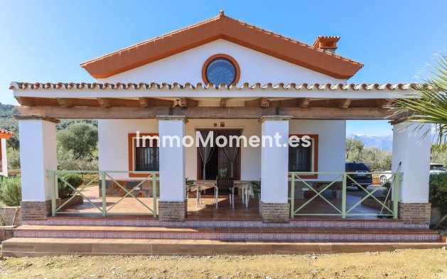 Villa - Reventa - Interior  - Guaro