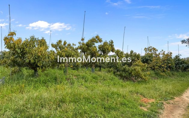 Vrijstaande villa - Bestaande woning - Sotogrande - Sotogrande