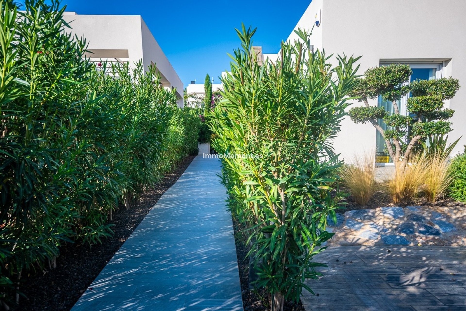 Wiederverkauf - Freistehende Villa - Algorfa - Algorfa Centro