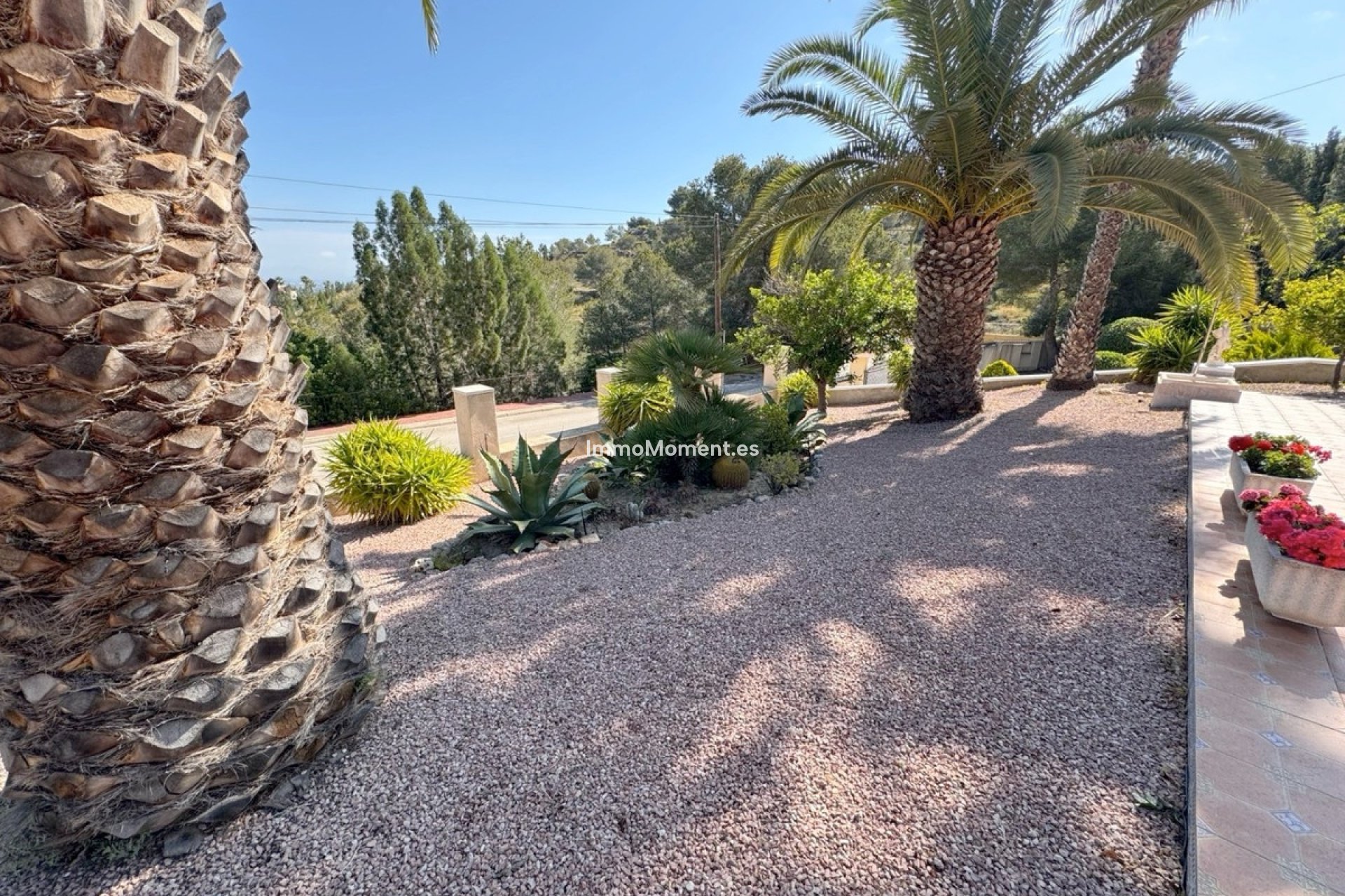 Wiederverkauf - Freistehende Villa - Algorfa - Algorfa Centro